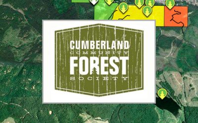 Cumberland Community Forest Map