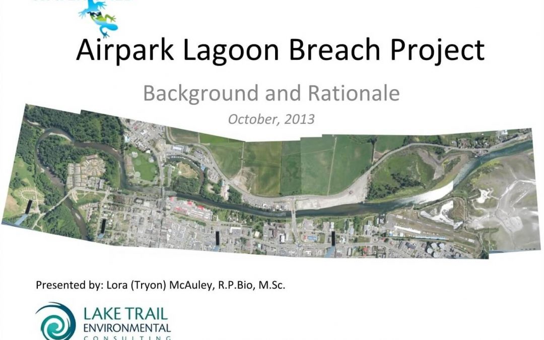 Airpark Lagoon Breach Project Background and Rationale