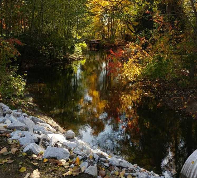 Seasonal Changes in the Comox Valley