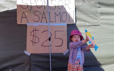 Sponsoring a Salmon is back to help restore Kus-kus-sum