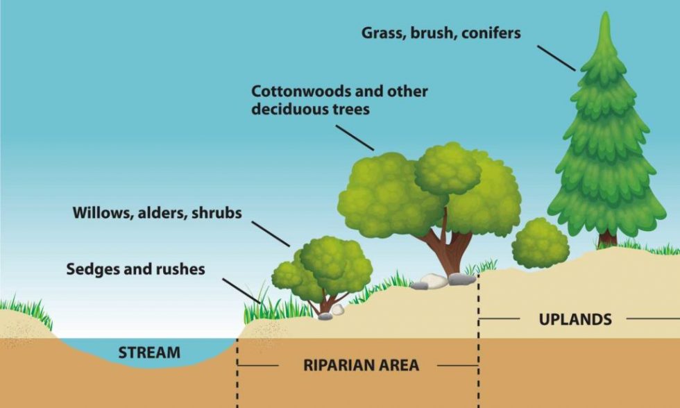 Riparian Ecosystems Project Watershed