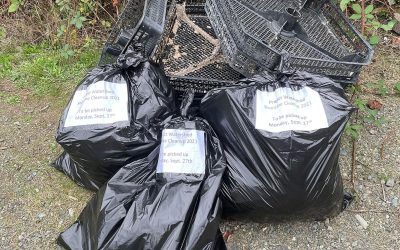 Shoreline Cleanup Synopsis Fall 2021