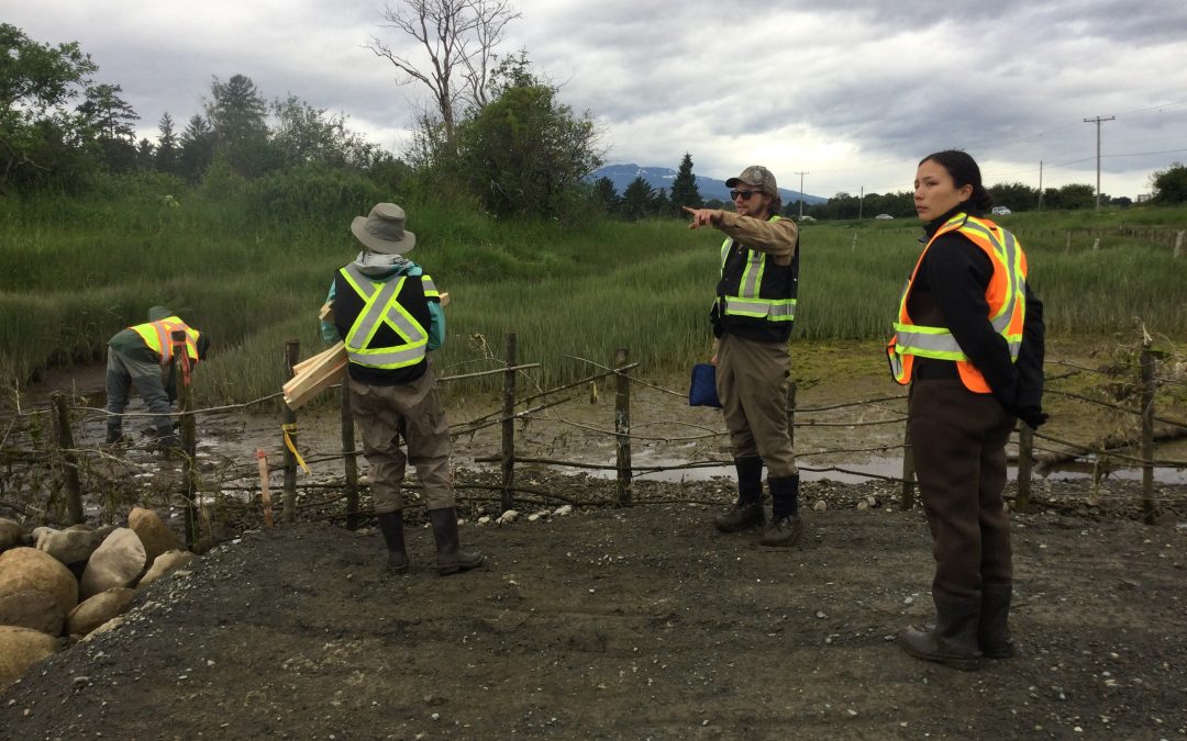 Project Watershed is Hiring Environmental Technicians!