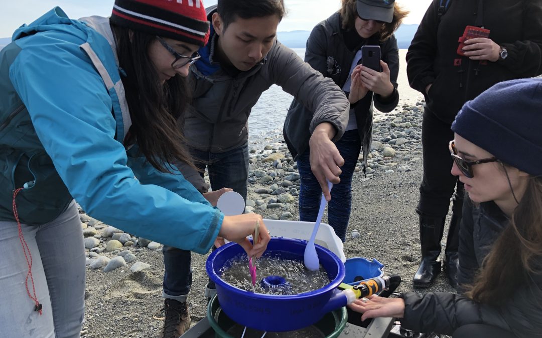 Stewardship Groups from Around the Salish Sea Come Together for Forage Fish Conservation