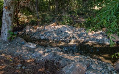 Glen Urquhart Creek Restoration Update