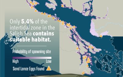 Pacific Sand Lance Habitat Suitability Model in the Canadian Salish Sea