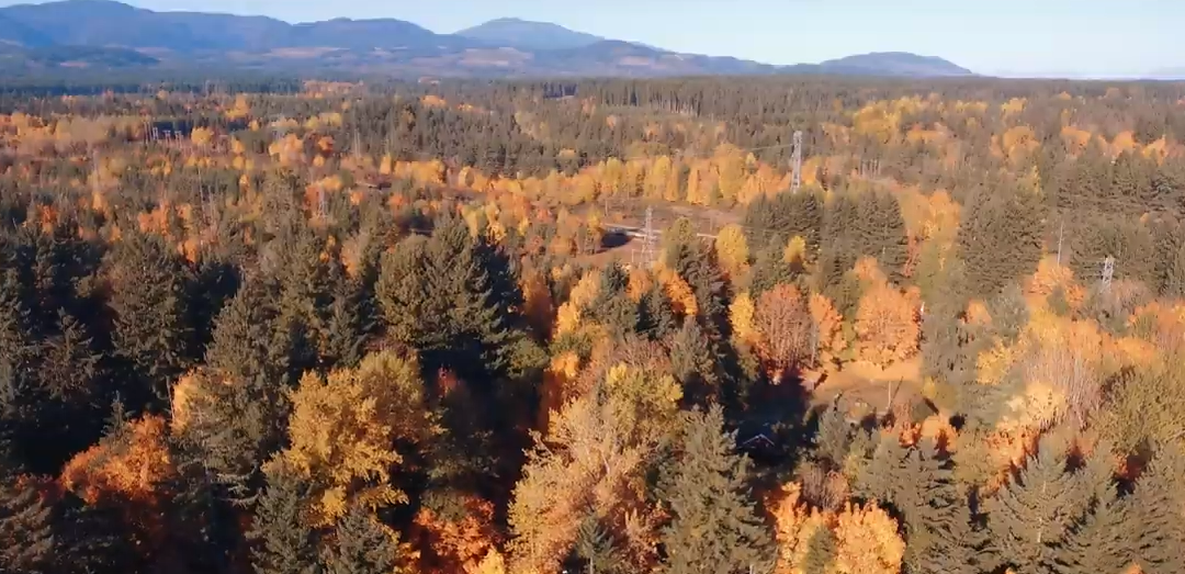 Autumn in the Comox Valley