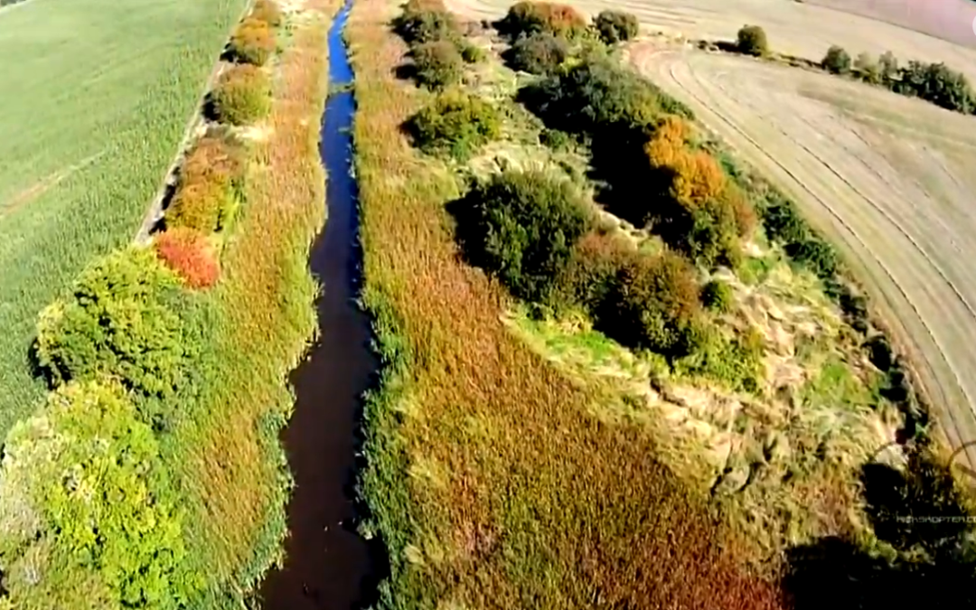 Dyke Slough