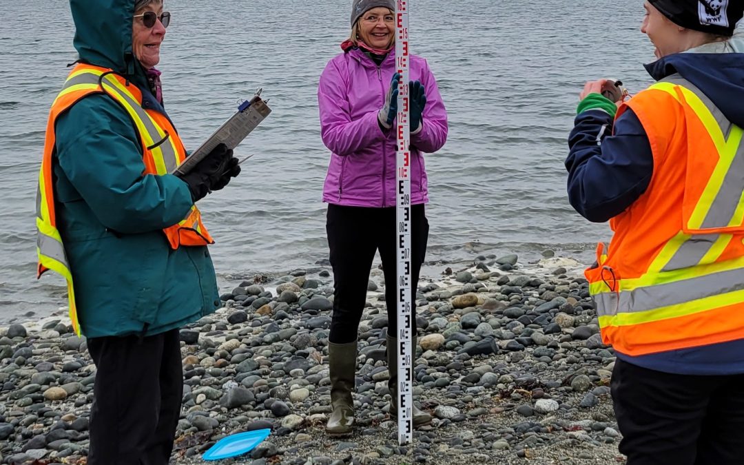 Fall and Winter Forage Fish Sampling