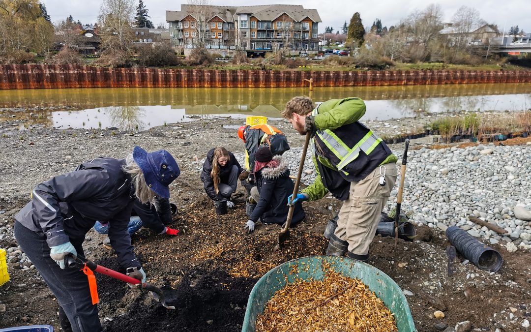 Fall Planting at Kus-kus-sum