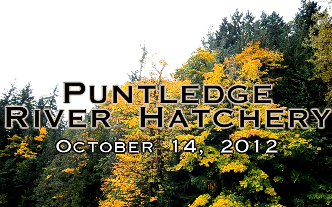 Puntledge River Hatchery