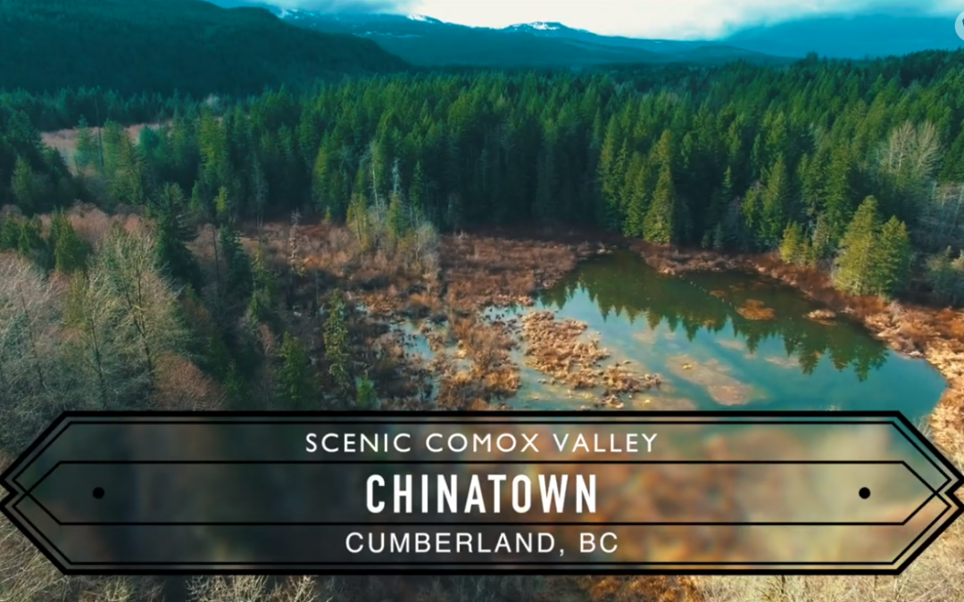 Scenic Comox Valley: Chinatown