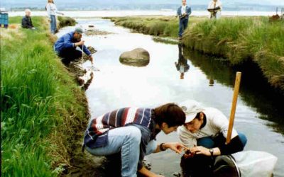 Community Water Monitoring Training Sessions