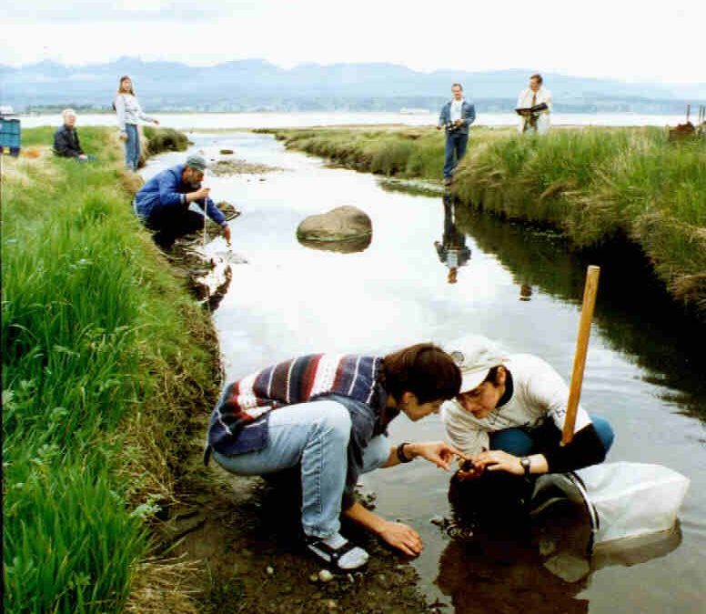 Community Water Monitoring Training Sessions