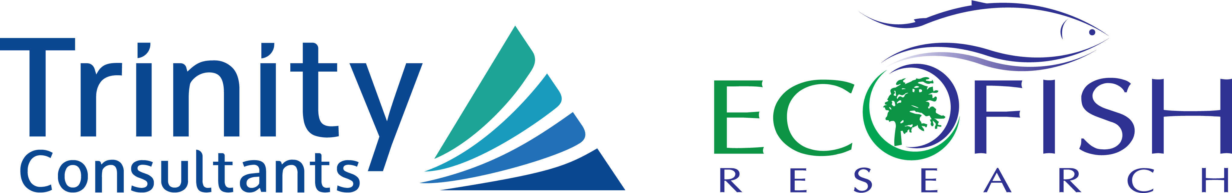 EcoFish-Research-Logo